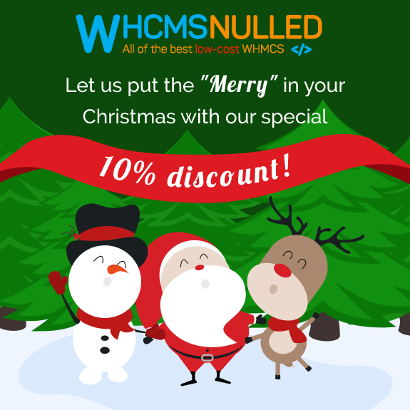 Christmas and New Year Discount Offers